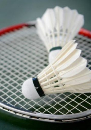 Toernooi opzet Schoolbadminton