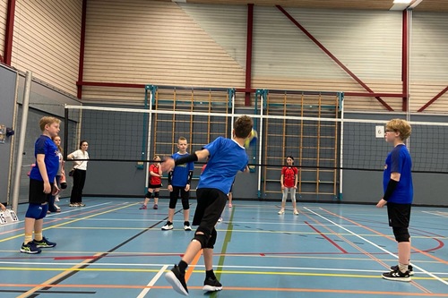 Volleybal